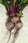 Fresh beetroots with leaves — Stock Photo