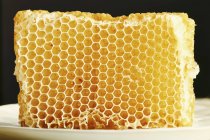 Nid d'abeille sur une plaque blanche — Photo de stock