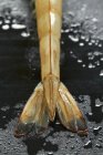 Closeup view of raw king prawn tail on black wet surface — Stock Photo
