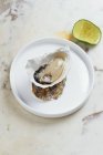 Closeup view of oyster with lemon — Stock Photo