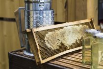 Honeycomb and beekeeping equipment — Stock Photo