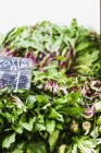 Свежий салат на фермерском рынке — стоковое фото