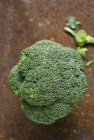 Свежий зелёный брокколи — стоковое фото