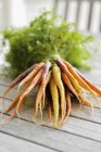 Пучок різнокольорової моркви — стокове фото