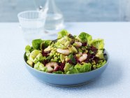 Gemischter Blattsalat mit Riesengarnelen, Erbsen und Avocado auf blauem Teller — Stockfoto
