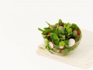 Salada de rabanete com brotos de ervilha — Fotografia de Stock