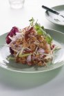 Хрустящий салат из тунца — стоковое фото