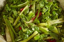 Lao hu cai - Salat mit Frühlingszwiebeln, Koriander und Chili — Stockfoto