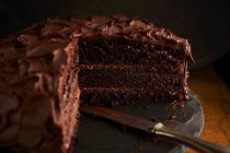 Creamy chocolate cake — Stock Photo