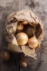 Onions in a paper bag — Stock Photo