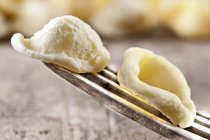 Two orecchiette pasta pieces — Stock Photo