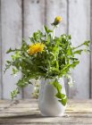 Dandelions in a white vase over wooden surface — Stock Photo