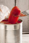 A tomato being taken from a tin — Stock Photo