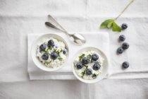 Cream cheese with blueberries — Stock Photo