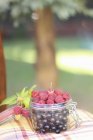Raspberries and redcurrants in jar — Stock Photo