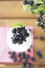 Yogurt with fresh blackberries — Stock Photo