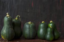 Fila di zucca verde fresca — Foto stock