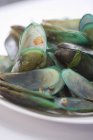 Fresh green mussels — Stock Photo