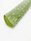 Aloe vera leaf — Stock Photo
