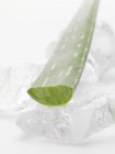 Aloe vera leaf on ice cubes — Stock Photo
