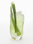 Aloe vera juice — Stock Photo