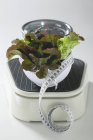 Bowl of lettuce with tape measure — Stock Photo
