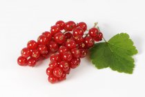 Bunches of Redcurrants with leaf — Stock Photo