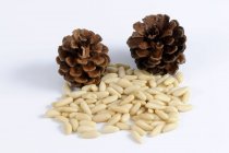 Pine nuts and cones — Stock Photo