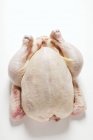Pollo crudo fresco - foto de stock