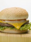Fresh cheeseburger with tomato — Stock Photo