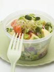 Salade d'avocat aux choux — Photo de stock