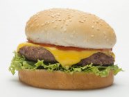 Fresh cheeseburger with tomato — Stock Photo