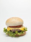 Cheeseburger with ketchup and tomato — Stock Photo