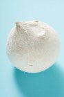 Fresh Shelled coconut — Stock Photo
