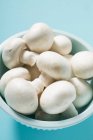 Свежие грибы в миске — стоковое фото