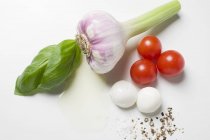 Ail aux tomates et basilic — Photo de stock