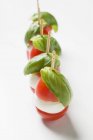 Tomates com mussarela e manjericão — Fotografia de Stock