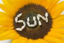 Word SUN written in sunflower — Stock Photo