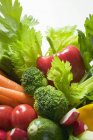 Légumes assortis sur fond blanc — Photo de stock