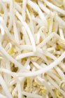 Raw Fresh sprouts — Stock Photo