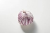 Азиатская чесночная луковица — стоковое фото