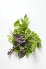Top view of various fresh herbs in a heap on a white surface — Stock Photo