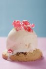 Мороженое с кусочками грейпфрута на печенье — стоковое фото