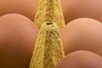 Vista de perto dos ovos na caixa de papelão do ovo — Fotografia de Stock