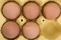 Ovos castanhos crus na caixa — Fotografia de Stock