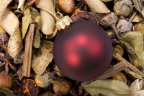 Bola roja de Navidad - foto de stock