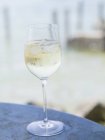 Bicchiere di vino bianco — Foto stock