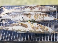 Grilled trout on barbecue rack — Stock Photo