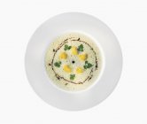 Суп з цвітної капусти в тарілці — стокове фото