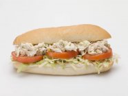 Sandwich de atún y tomate - foto de stock